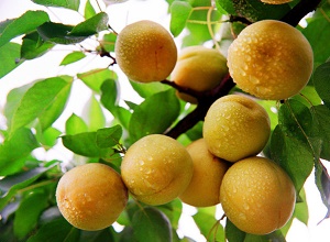 ��(j��ng)�^(gu��)̫�(y��ng)�ܚ��x�����κ���F����