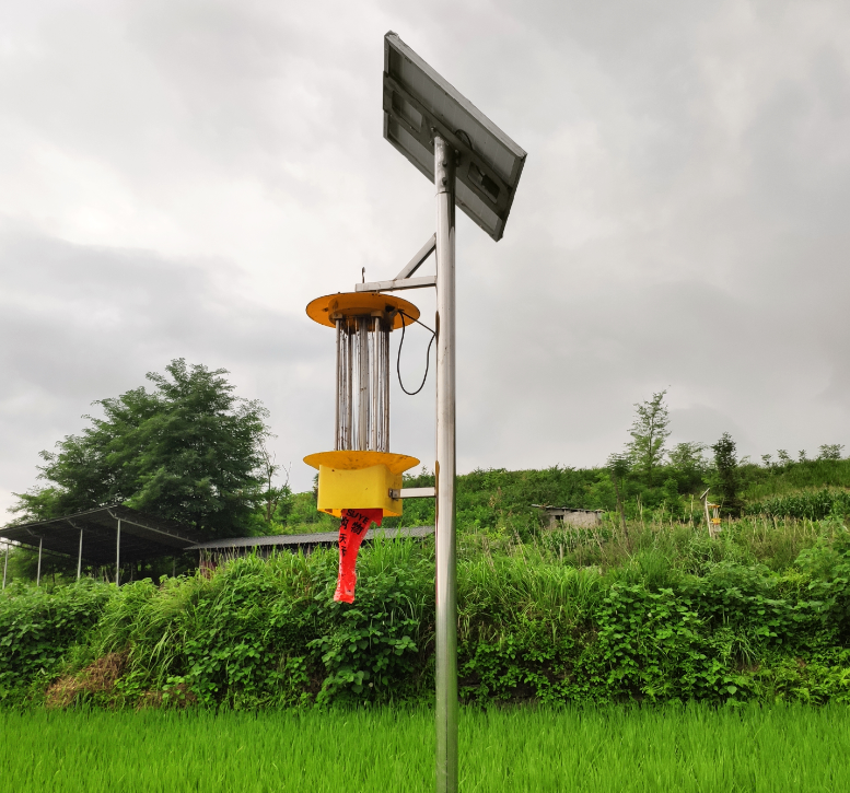 ����̫��ܚ��x������r(n��ng)�匍�F(xi��n)�皢�x��