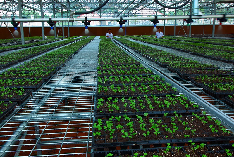 ˮ��һ�w�����ϵ�y(t��ng)