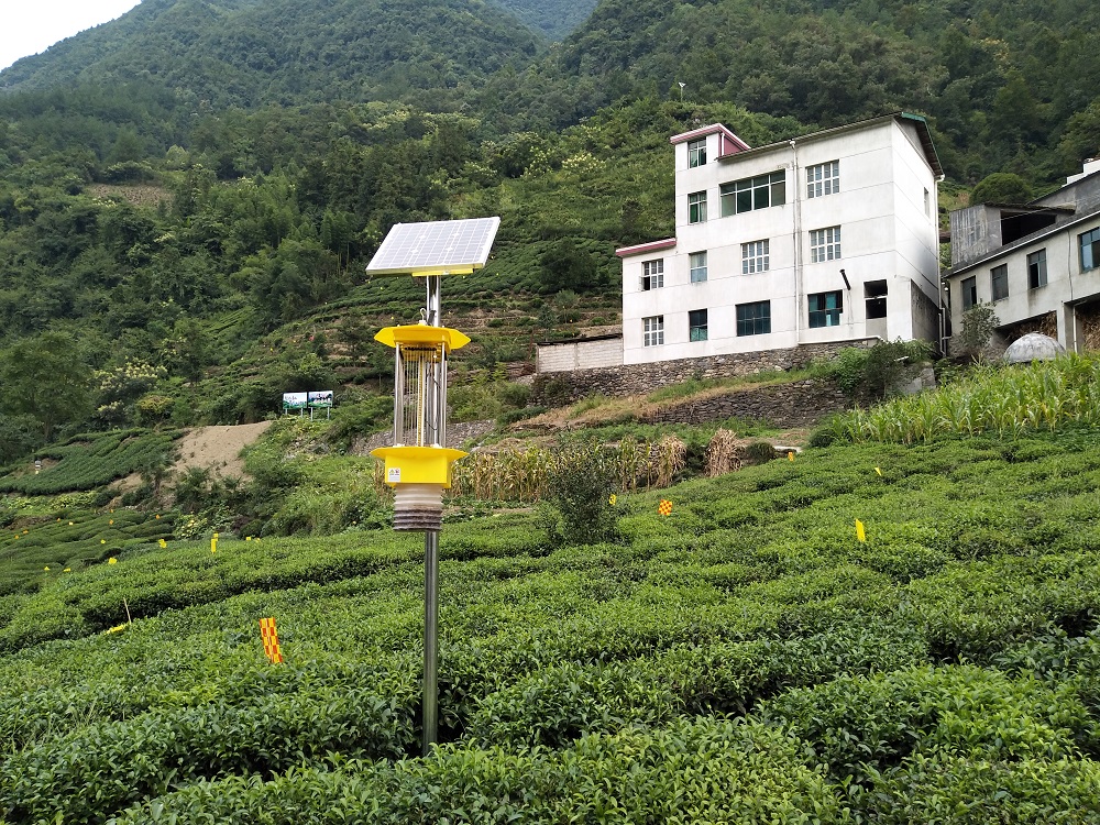 �Ԅ����x̫��ܚ��x���p���x���Ƅ����B(t��i)�h(hu��n)��