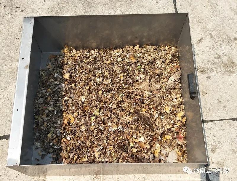 (zhn)xڊZZwƼЄ(dng)