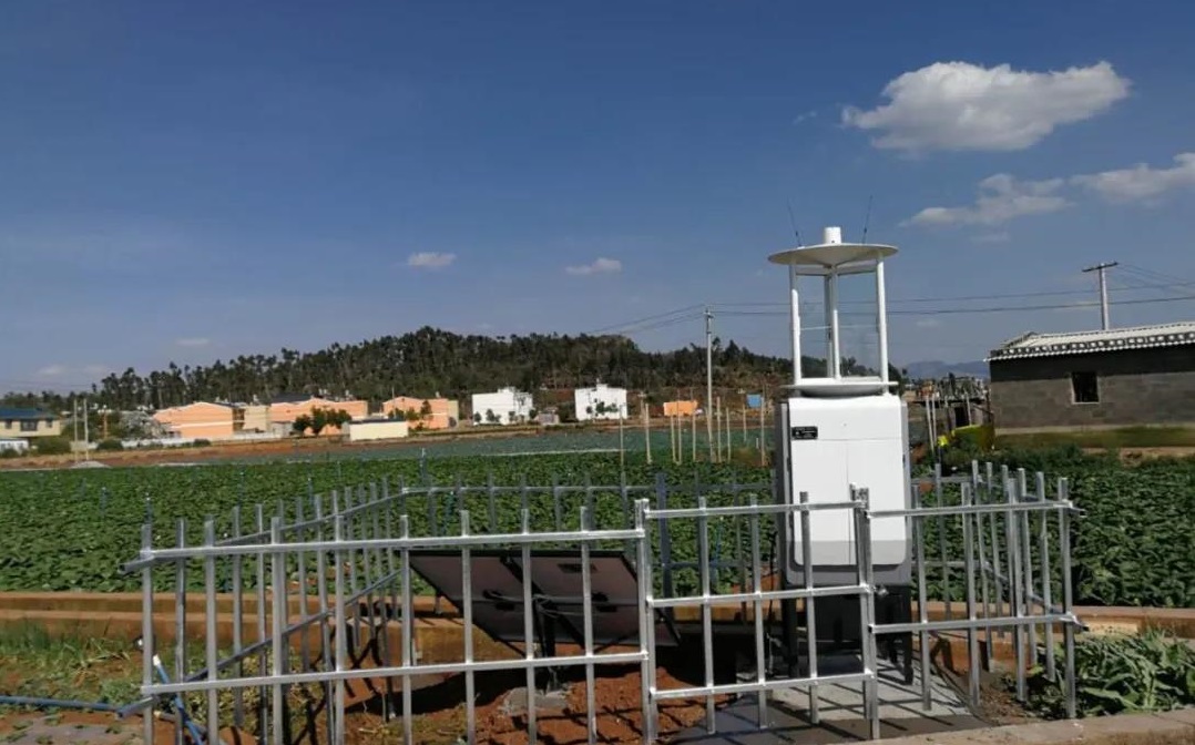 良縣植保植檢站利用云飛智能型測(cè)報(bào)燈開展蟲害監(jiān)測(cè)預(yù)警