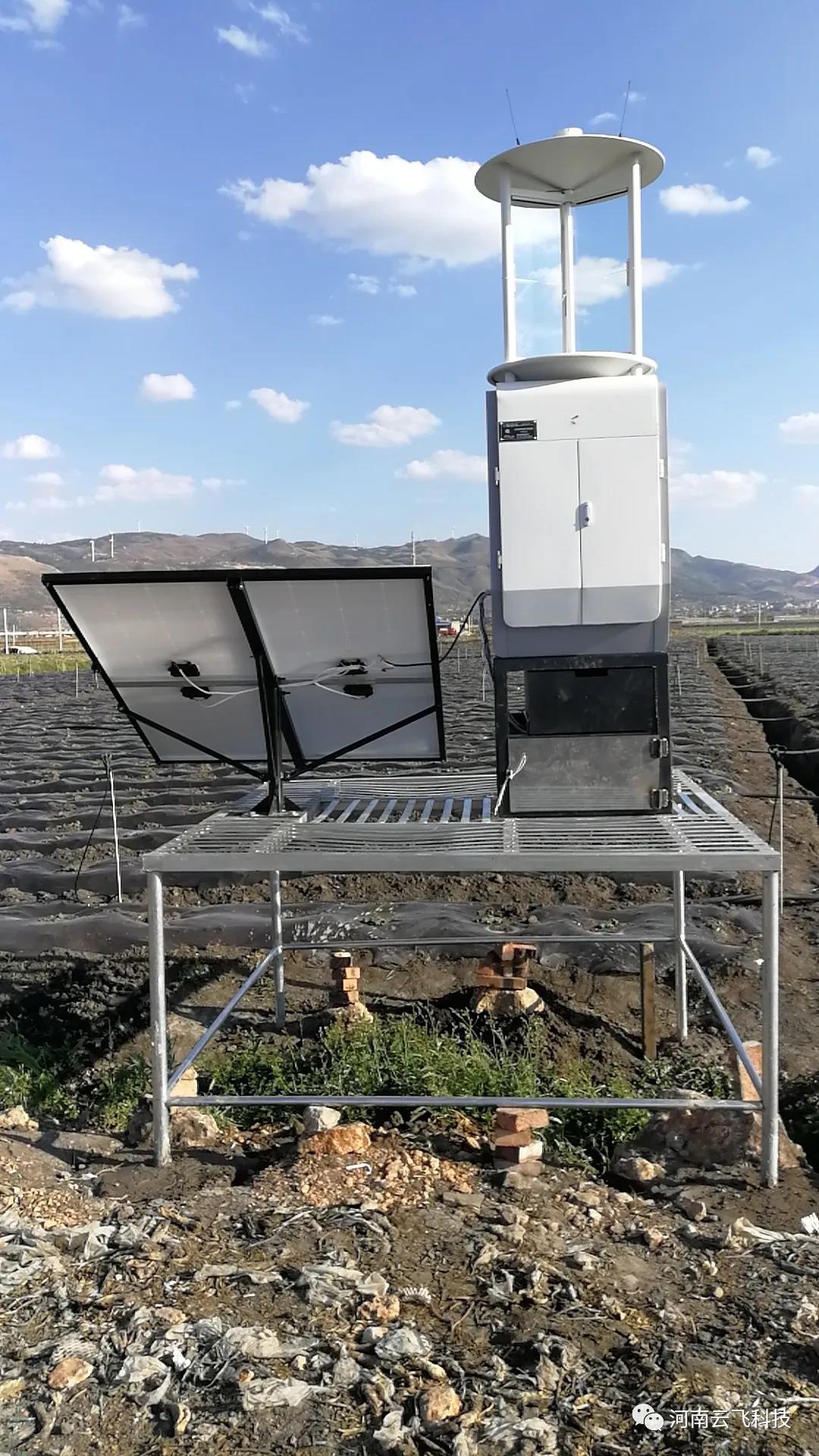 陸良縣植保植檢站利用云飛智能型測(cè)報(bào)燈開展蟲害監(jiān)測(cè)預(yù)警