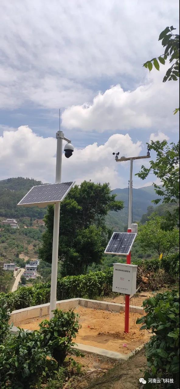鳳慶茶園利用云飛自動氣象站等設備實現(xiàn)智能化管理