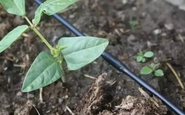 ˮ��һ�w��