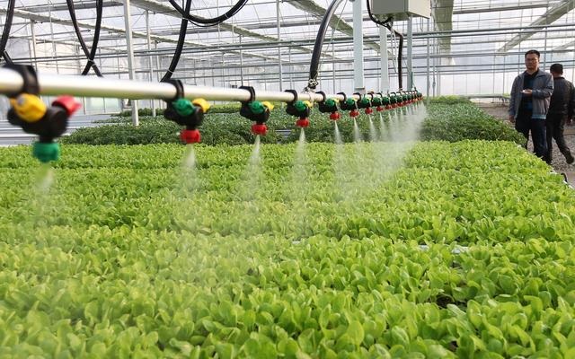 ����ˮ��һ�w����(y��u)�����@��ʲô�ƏVȱ���y����