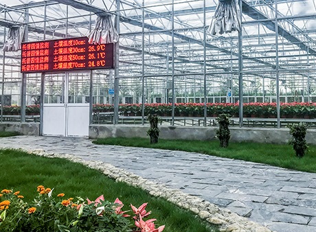 智能溫室大棚