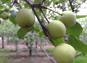 ��(j��ng)�^(gu��)̫�(y��ng)�ܚ��x(ch��ng)�����κ����@