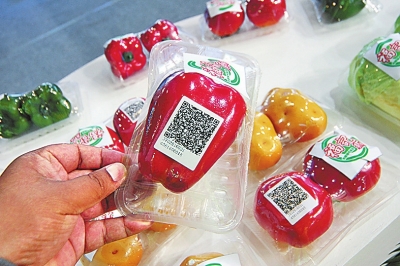 農(nóng)業(yè)物聯(lián)網(wǎng)