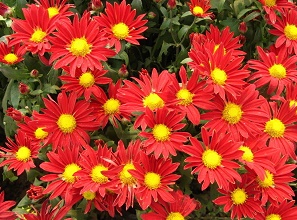 (jng)^(gu)̫(yng)ܚx(chng)κľջ