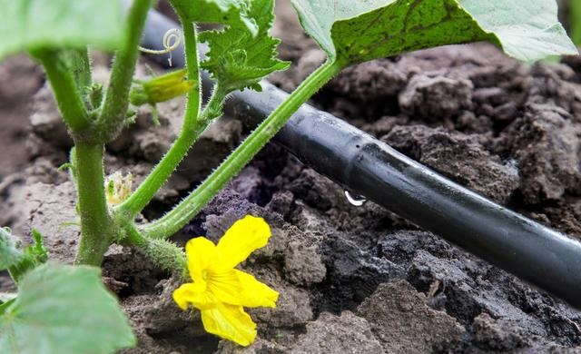 ̫��ܚ��x��