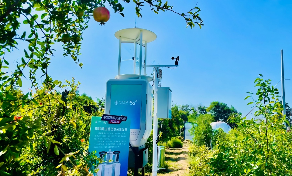 �y�����Ҋ���ϼ���Q���h