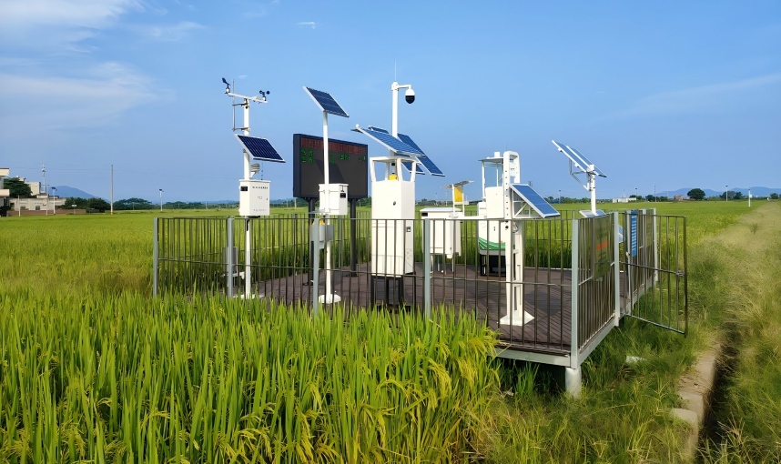 �����r(n��ng)�I(y��)�е�����O(ji��n)�y��Ҫ�Է���