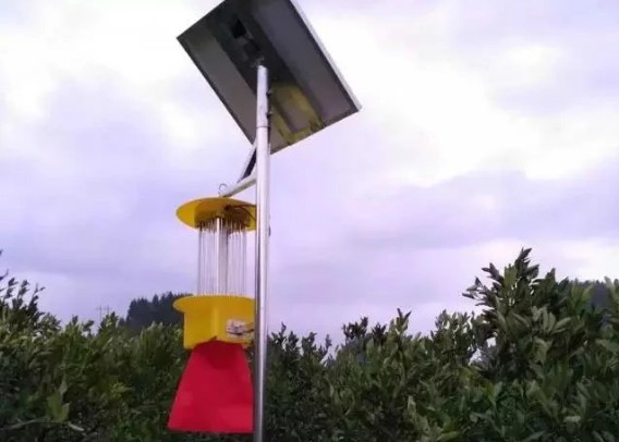 太陽能殺蟲燈