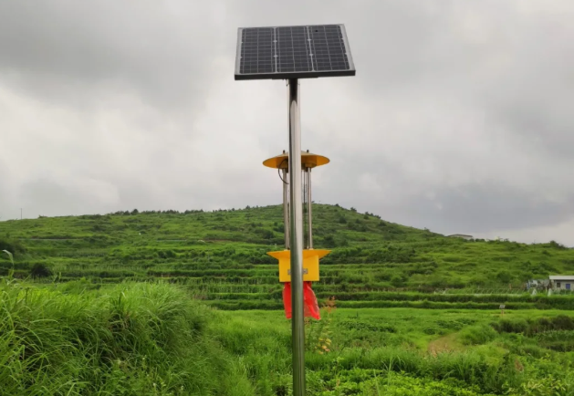 ��ˮ��������̫�(y��ng)�ܚ��x(ch��ng)���_(k��i)չ�Gɫ�Nֲ