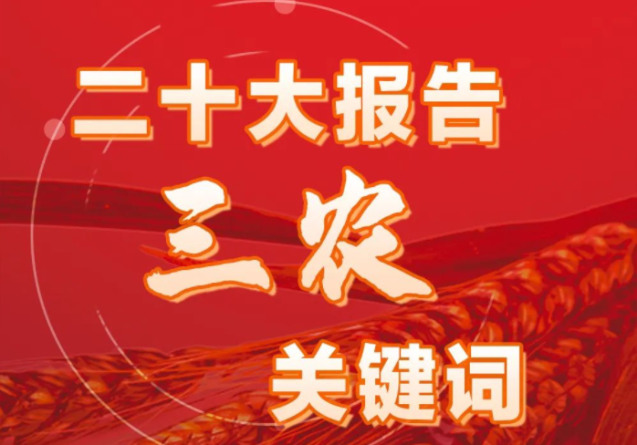 һ�D���[|��ʮ�����е����r(n��ng)�P(gu��n)�I�~