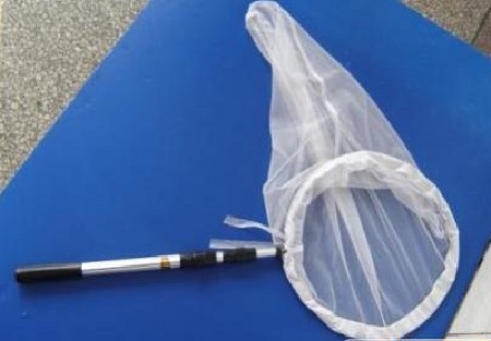 捕蟲(chóng)網(wǎng)