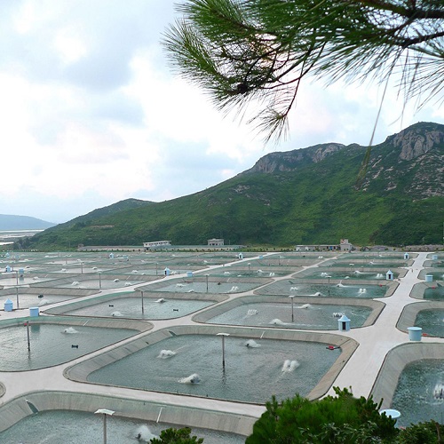 ˮaB(yng)ֳܱO(jin)ϵy(tng)