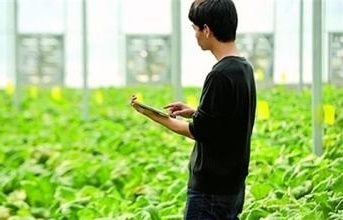 農(nóng)業(yè)物聯(lián)網(wǎng)