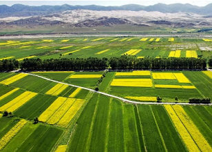 農(nóng)業(yè)物聯(lián)網(wǎng)